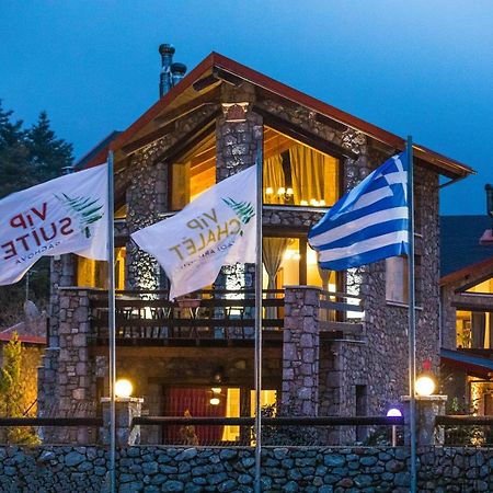 Vip Chalet 4 Seasons Arachova Exteriér fotografie