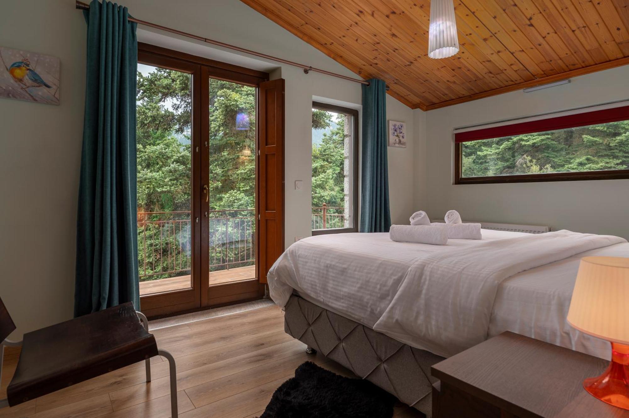 Vip Chalet 4 Seasons Arachova Exteriér fotografie